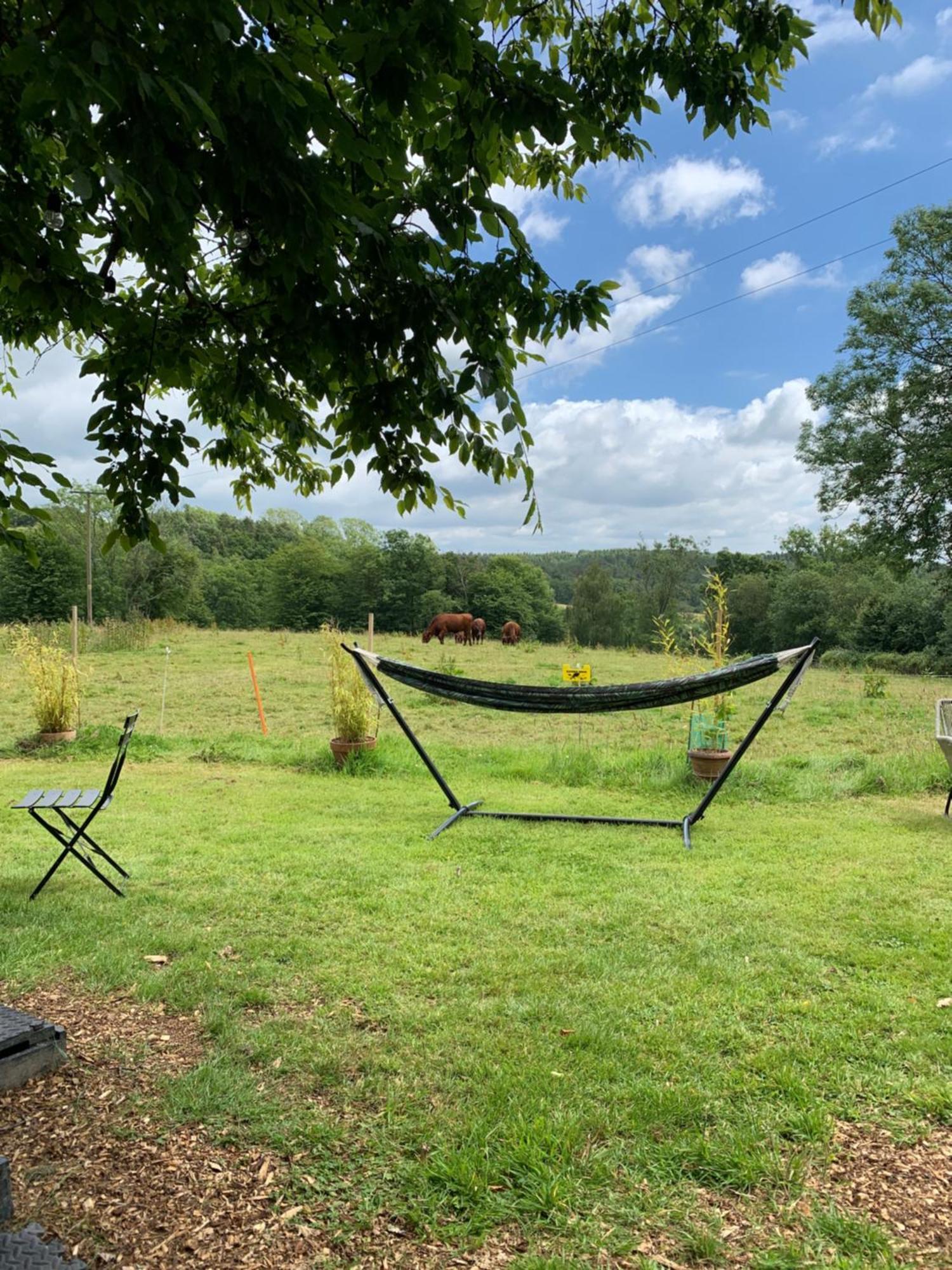 American School Bus Retreat With Hot Tub In Sussex Meadow Uckfield Luaran gambar
